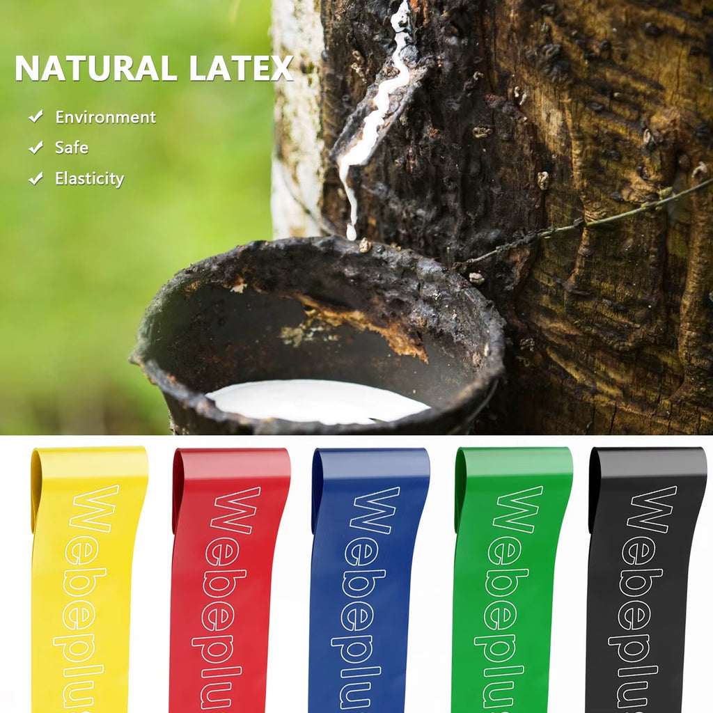 Sport Elastic Bands for Fitness Bandas Elasticas Para Ejercicio Guma Do Fitnes Fitness Elastic Band